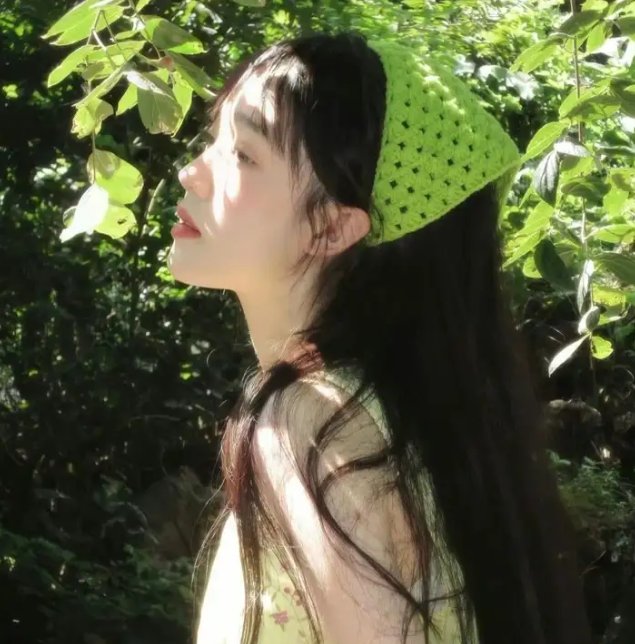 女高中生结婚记海报
